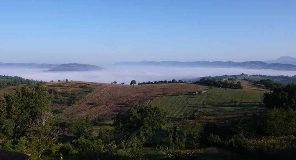 Aussicht von der Terrasse