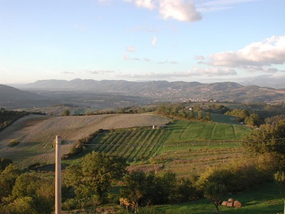 Aussicht von der Terrasse